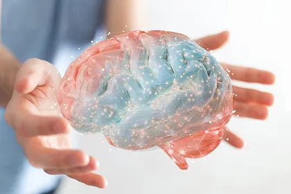 An illustration of a brain-cognition network