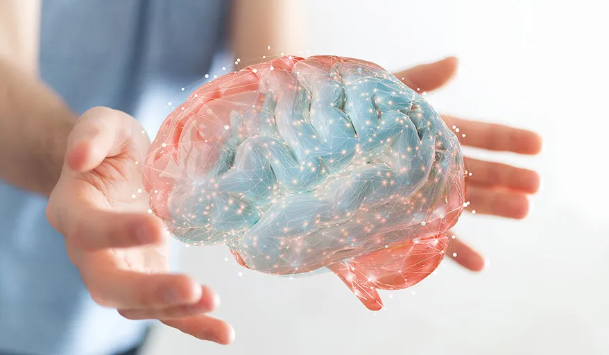 An illustration of a brain-cognition network
